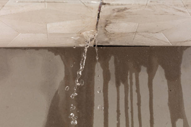 Professional Water Damage Repair technician working in Rochester, MN